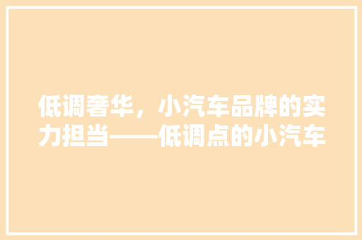 低调奢华，小汽车品牌的实力担当——低调点的小汽车品牌排行榜