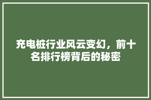 充电桩行业风云变幻，前十名排行榜背后的秘密