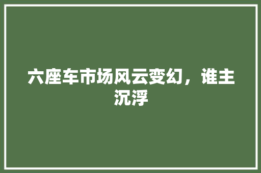 六座车市场风云变幻，谁主沉浮