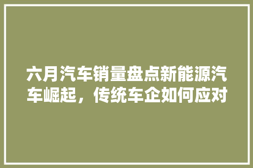 六月汽车销量盘点新能源汽车崛起，传统车企如何应对