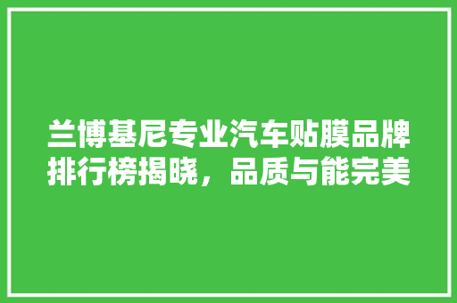 兰博基尼专业汽车贴膜品牌排行榜揭晓，品质与能完美融合