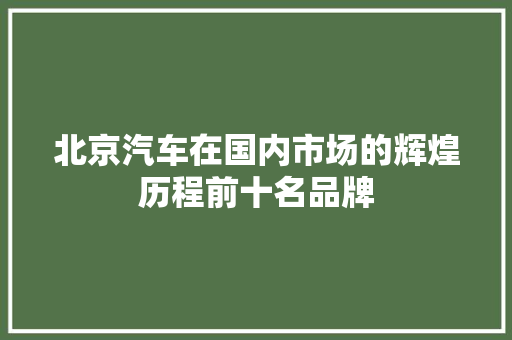 北京汽车在国内市场的辉煌历程前十名品牌