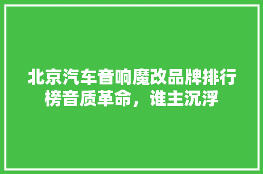 北京汽车音响魔改品牌排行榜音质革命，谁主沉浮