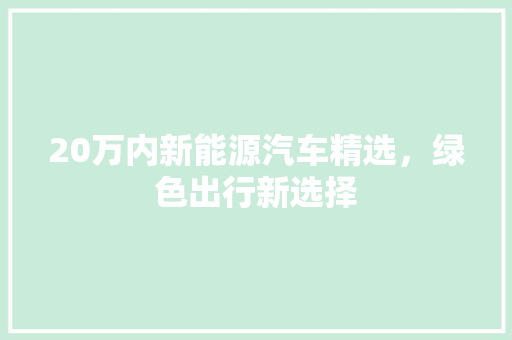 20万内新能源汽车精选，绿色出行新选择