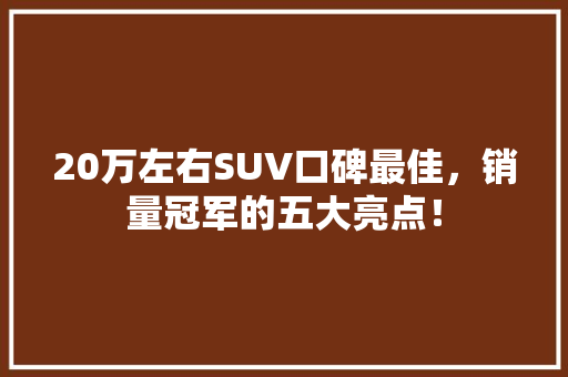 20万左右SUV口碑最佳，销量冠军的五大亮点！