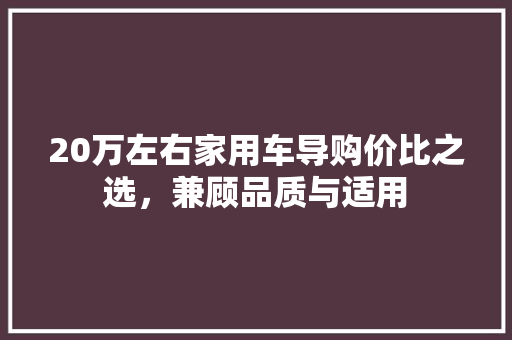 20万左右家用车导购价比之选，兼顾品质与适用