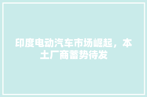 印度电动汽车市场崛起，本土厂商蓄势待发