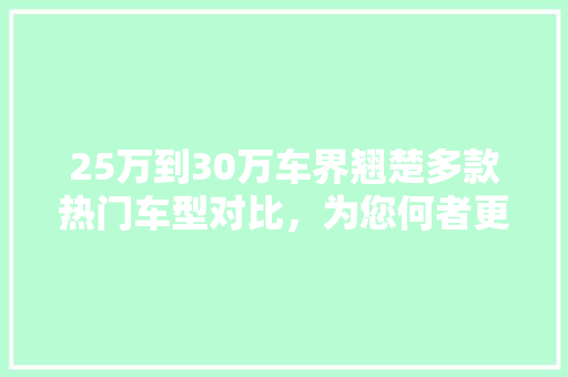25万到30万车界翘楚多款热门车型对比，为您何者更优