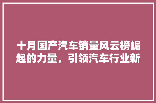十月国产汽车销量风云榜崛起的力量，引领汽车行业新潮流