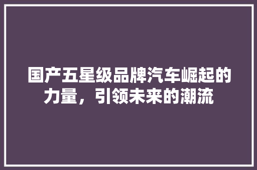 国产五星级品牌汽车崛起的力量，引领未来的潮流