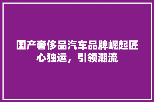 国产奢侈品汽车品牌崛起匠心独运，引领潮流