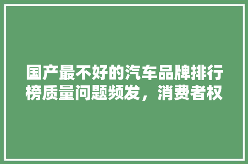 国产最不好的汽车品牌排行榜质量问题频发，消费者权益谁来守护