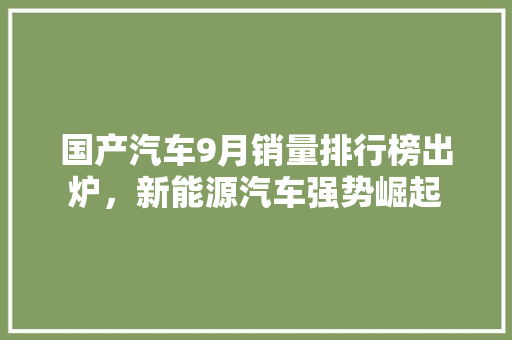 国产汽车9月销量排行榜出炉，新能源汽车强势崛起