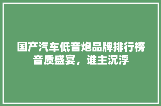 国产汽车低音炮品牌排行榜音质盛宴，谁主沉浮