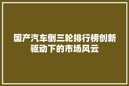 国产汽车倒三轮排行榜创新驱动下的市场风云  第1张