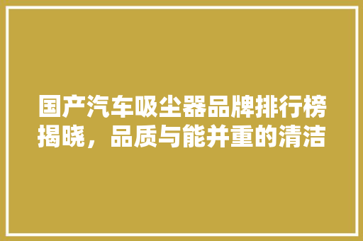 国产汽车吸尘器品牌排行榜揭晓，品质与能并重的清洁利器