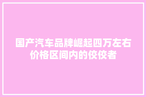国产汽车品牌崛起四万左右价格区间内的佼佼者