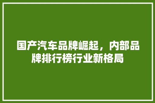国产汽车品牌崛起，内部品牌排行榜行业新格局
