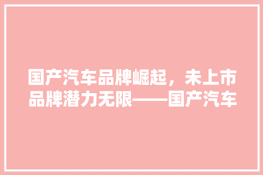 国产汽车品牌崛起，未上市品牌潜力无限——国产汽车市场新势力
