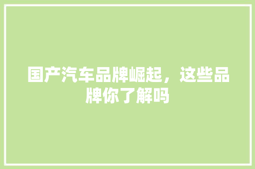 国产汽车品牌崛起，这些品牌你了解吗