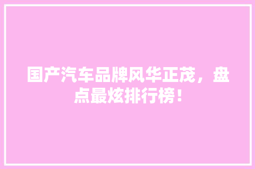 国产汽车品牌风华正茂，盘点最炫排行榜！