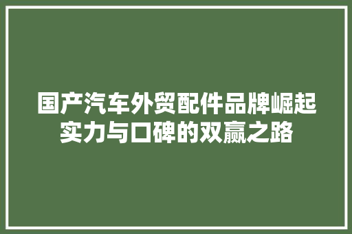 国产汽车外贸配件品牌崛起实力与口碑的双赢之路