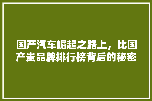 国产汽车崛起之路上，比国产贵品牌排行榜背后的秘密