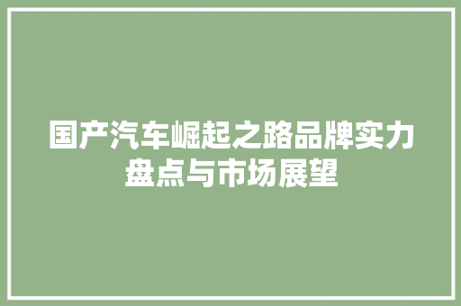 国产汽车崛起之路品牌实力盘点与市场展望