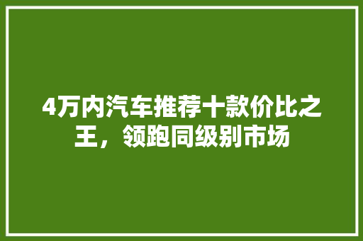 4万内汽车推荐十款价比之王，领跑同级别市场