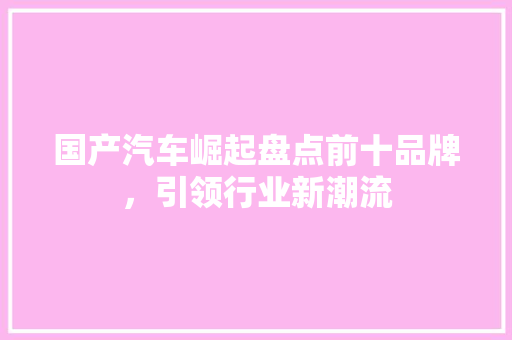 国产汽车崛起盘点前十品牌，引领行业新潮流