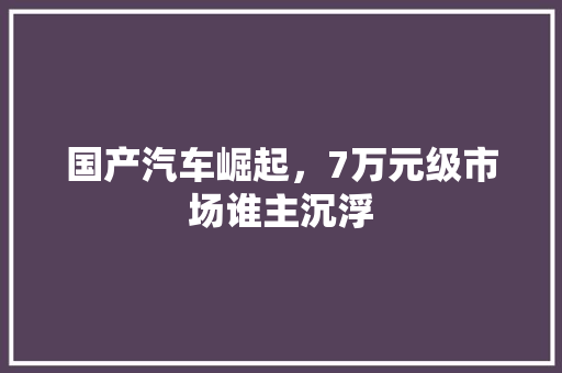 国产汽车崛起，7万元级市场谁主沉浮