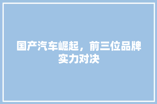 国产汽车崛起，前三位品牌实力对决