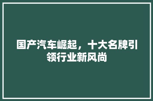 国产汽车崛起，十大名牌引领行业新风尚