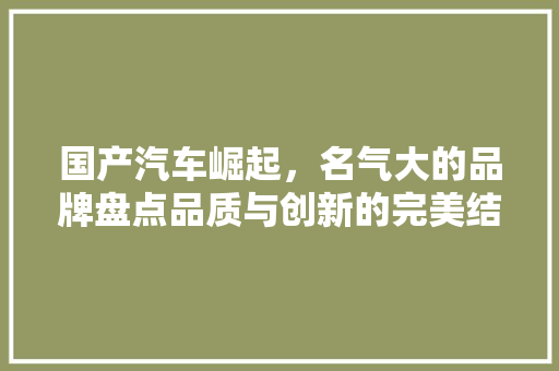 国产汽车崛起，名气大的品牌盘点品质与创新的完美结合