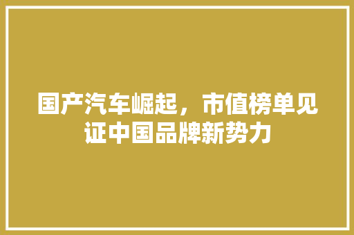 国产汽车崛起，市值榜单见证中国品牌新势力