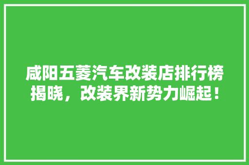 咸阳五菱汽车改装店排行榜揭晓，改装界新势力崛起！  第1张