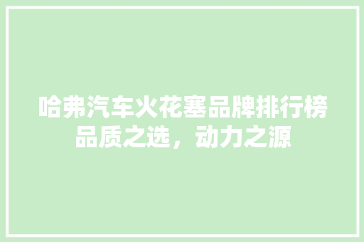 哈弗汽车火花塞品牌排行榜品质之选，动力之源