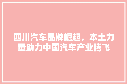 四川汽车品牌崛起，本土力量助力中国汽车产业腾飞