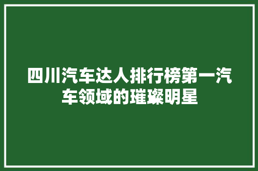 四川汽车达人排行榜第一汽车领域的璀璨明星
