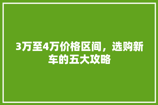 3万至4万价格区间，选购新车的五大攻略