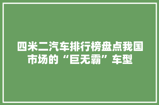 四米二汽车排行榜盘点我国市场的“巨无霸”车型