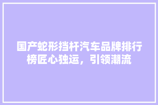 国产蛇形挡杆汽车品牌排行榜匠心独运，引领潮流