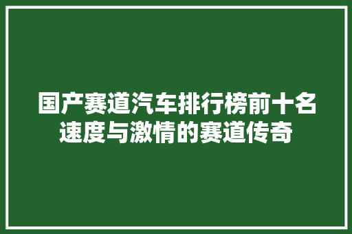 国产赛道汽车排行榜前十名速度与激情的赛道传奇