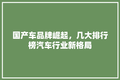 国产车品牌崛起，几大排行榜汽车行业新格局