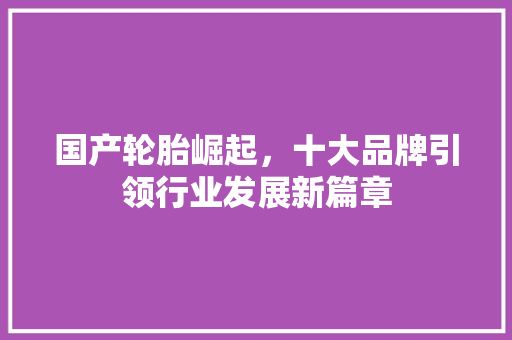 国产轮胎崛起，十大品牌引领行业发展新篇章