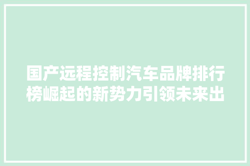 国产远程控制汽车品牌排行榜崛起的新势力引领未来出行  第1张