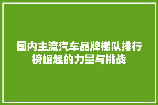 国内主流汽车品牌梯队排行榜崛起的力量与挑战