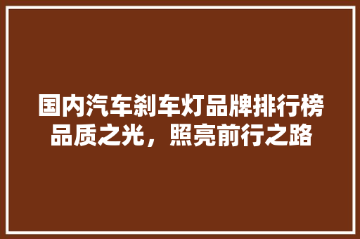 国内汽车刹车灯品牌排行榜品质之光，照亮前行之路