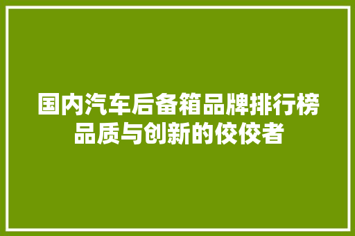 国内汽车后备箱品牌排行榜品质与创新的佼佼者