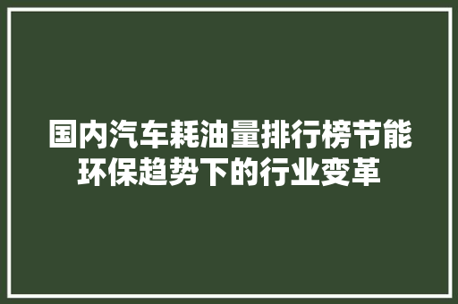 国内汽车耗油量排行榜节能环保趋势下的行业变革